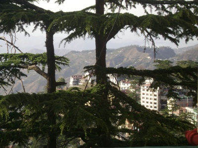 Shimla 1.JPG